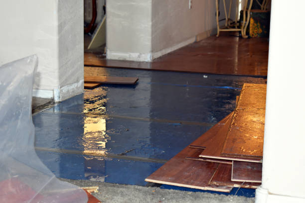 Professional Flood Damage Restoration technician working in Grain Valley, MO